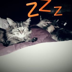 Meet your Posher, Sondra